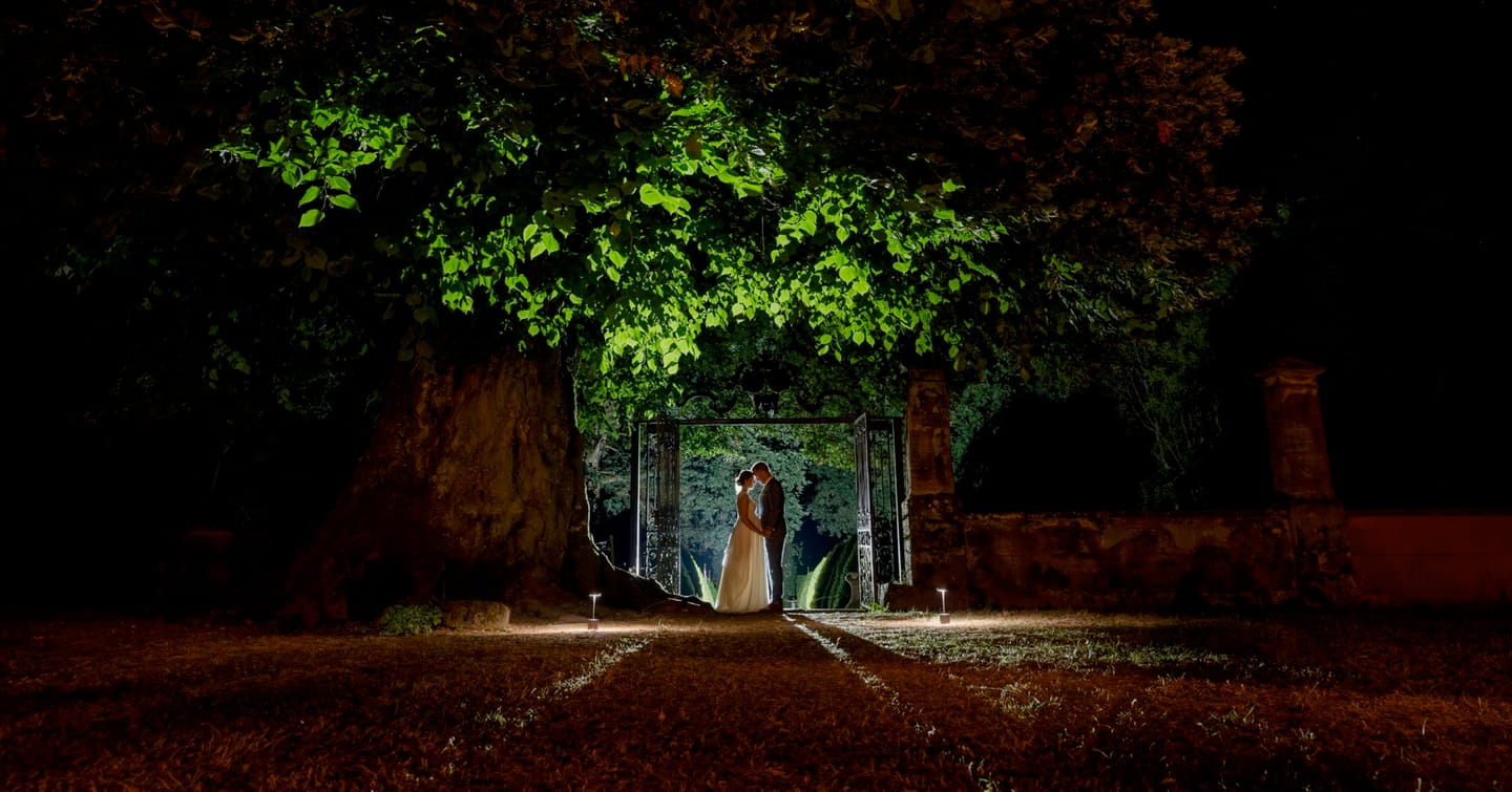 Couple under an illuminated tree at night