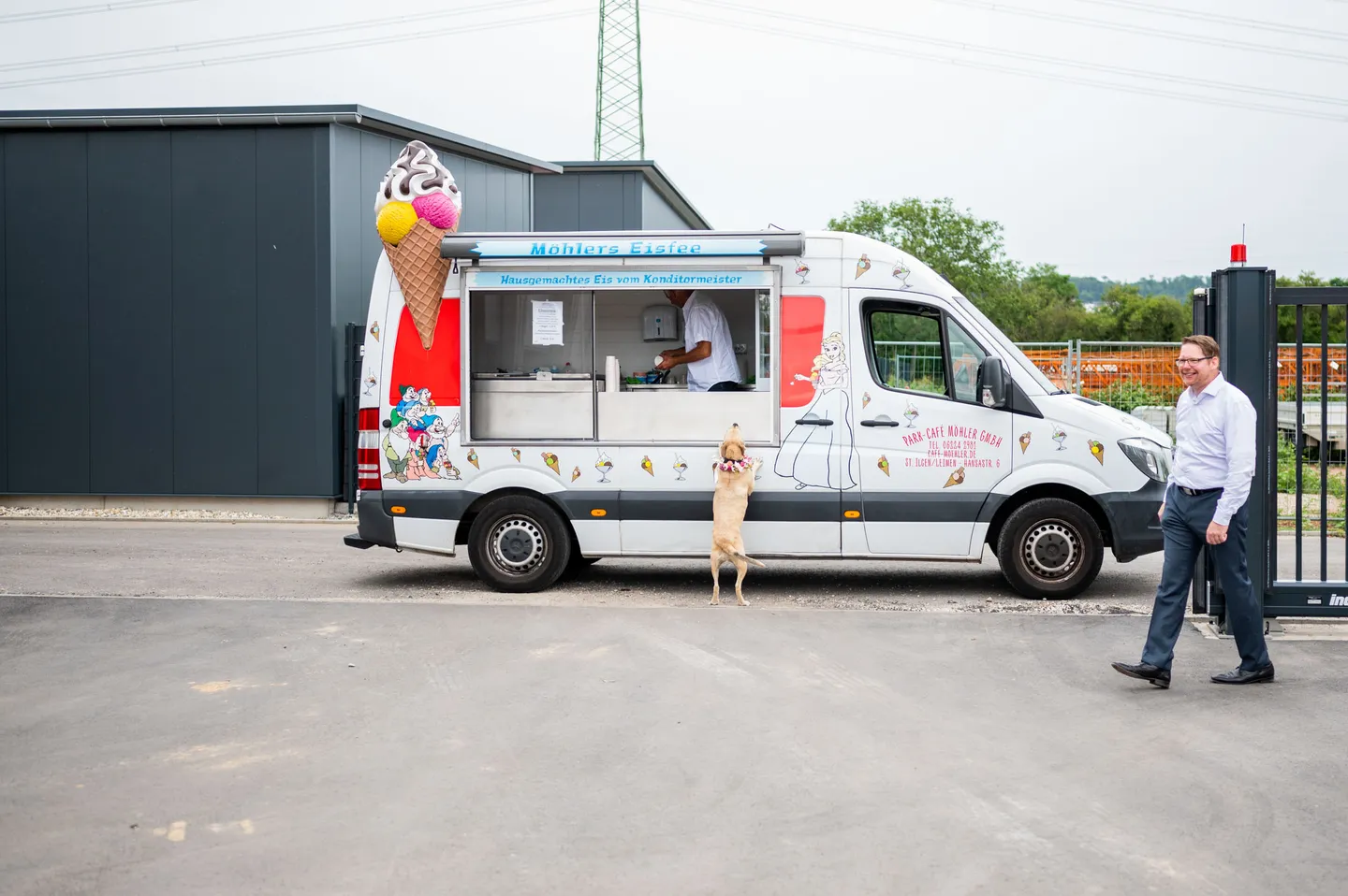 Dog and ice cream truck in parking lot
