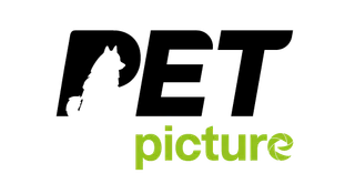 PetPicture Logo